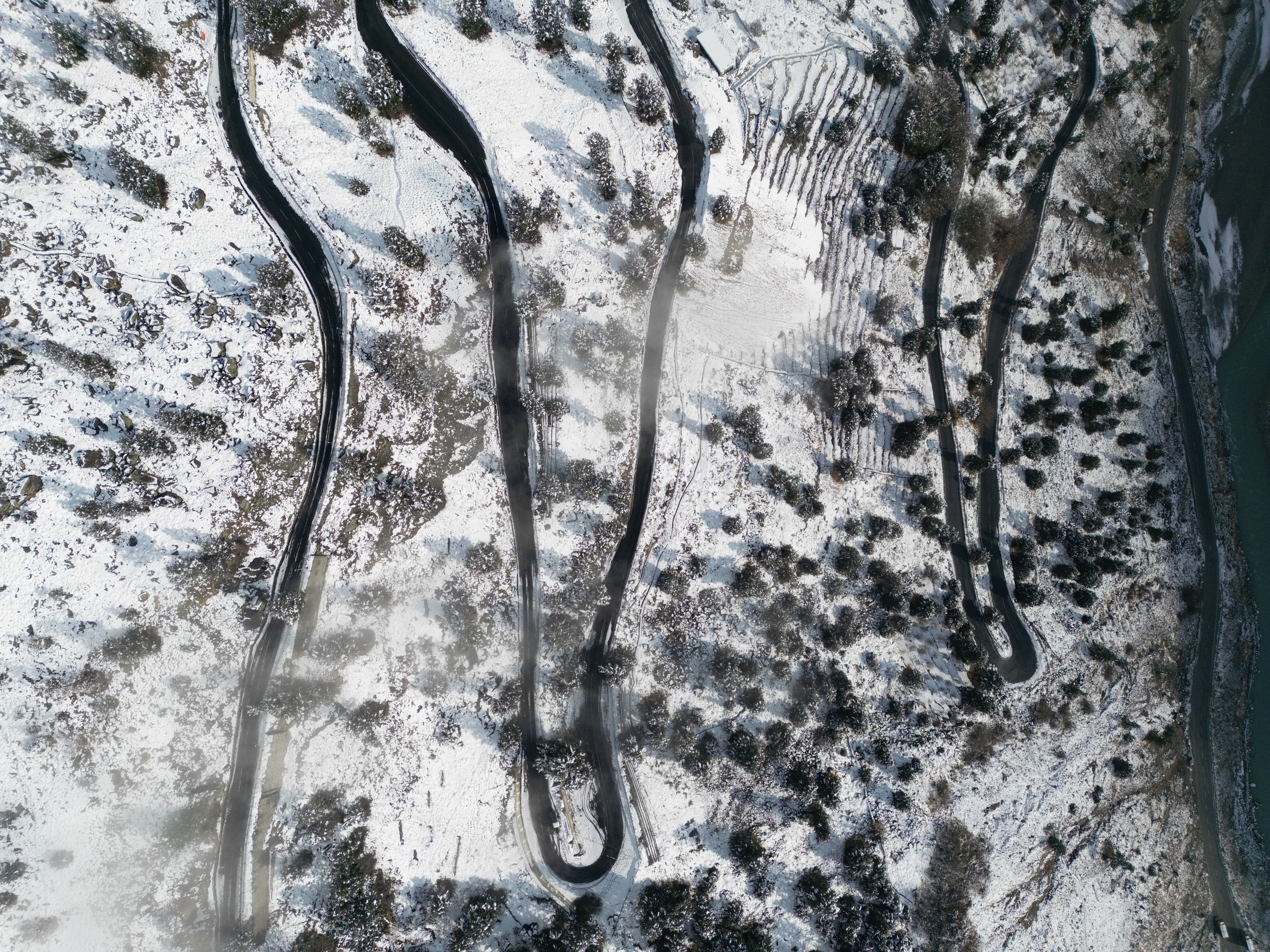 Winter's Path